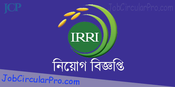 International Rice Research Institute IRRI jobs Circular